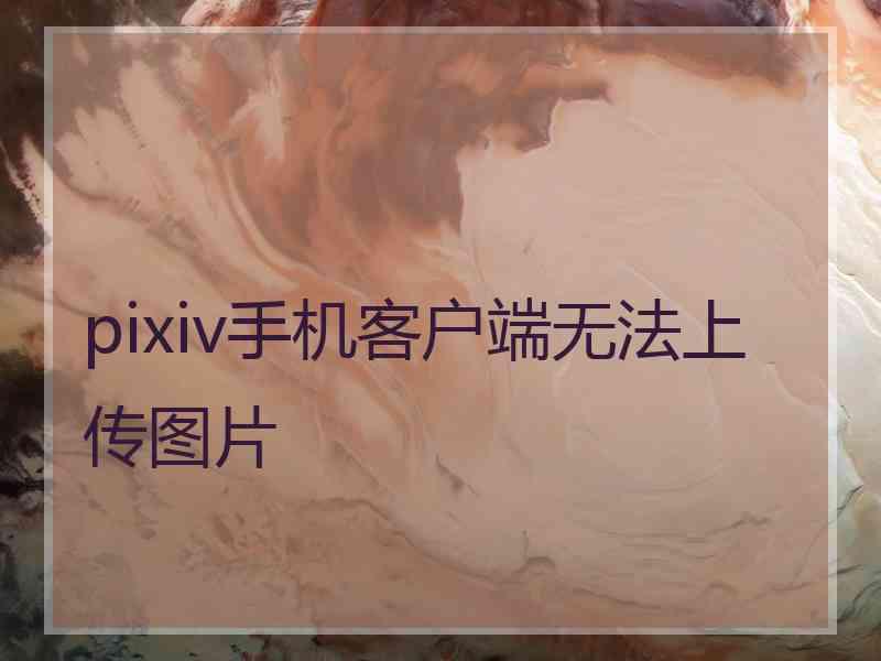 pixiv手机客户端无法上传图片