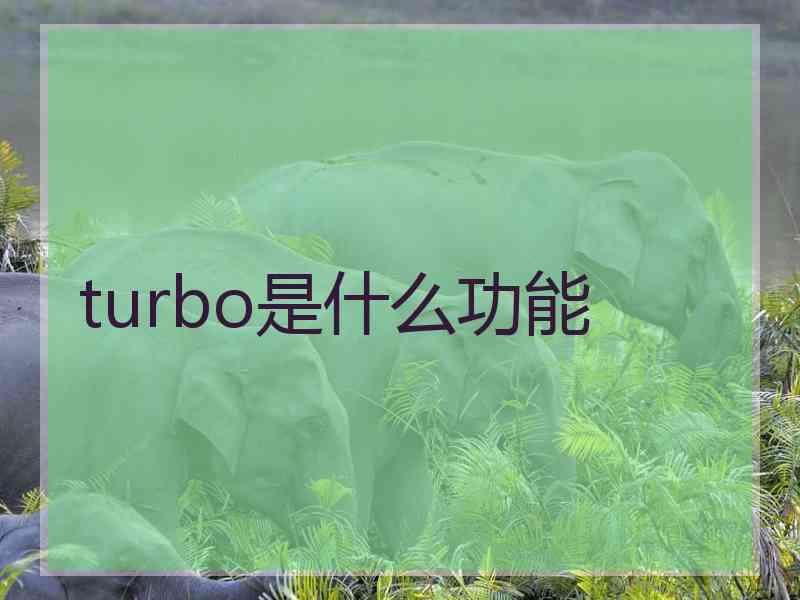 turbo是什么功能