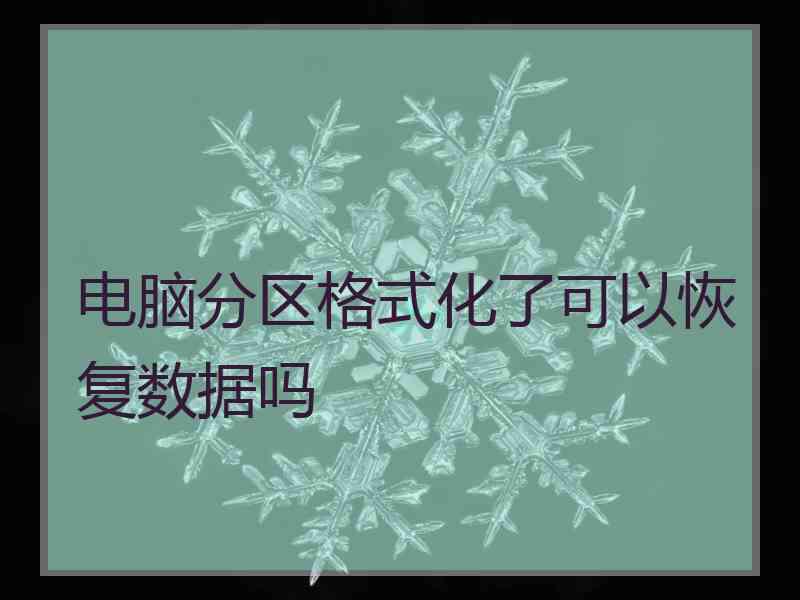 电脑分区格式化了可以恢复数据吗