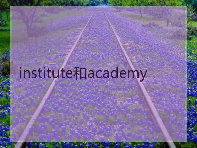 institute和academy