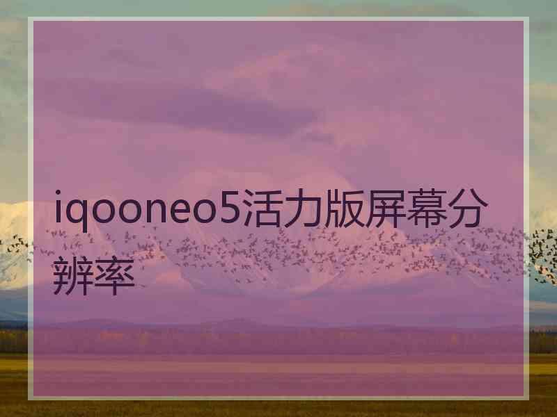 iqooneo5活力版屏幕分辨率