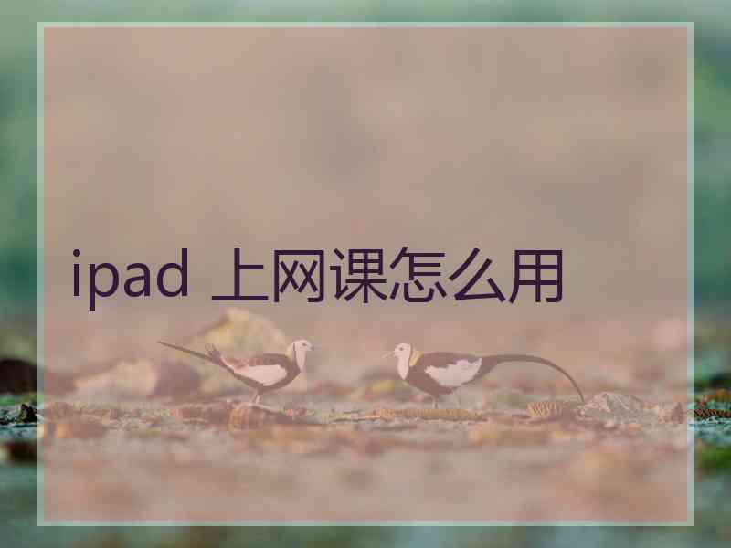 ipad 上网课怎么用