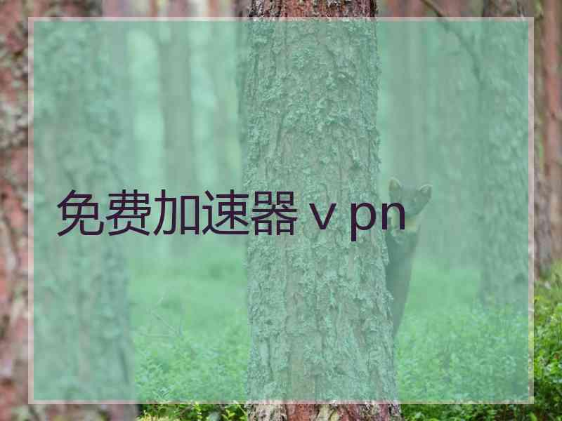 免费加速器ⅴpn