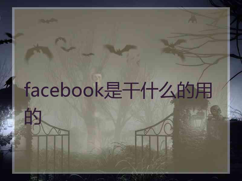 facebook是干什么的用的