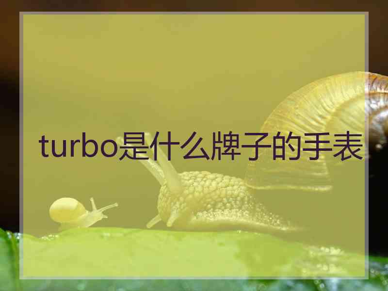 turbo是什么牌子的手表