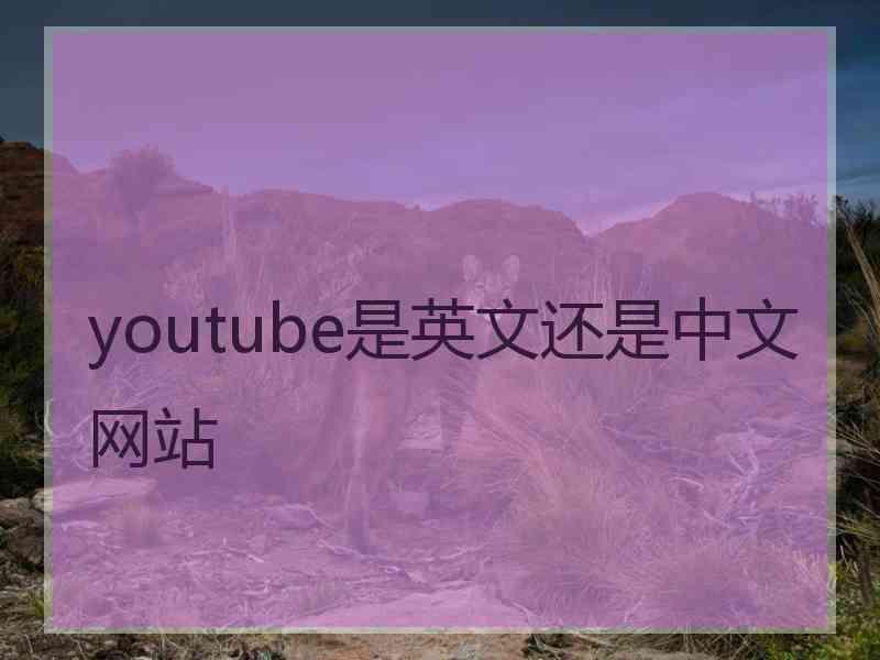 youtube是英文还是中文网站