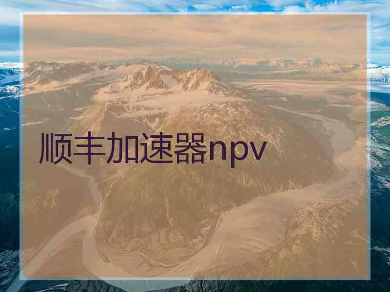 顺丰加速器npv