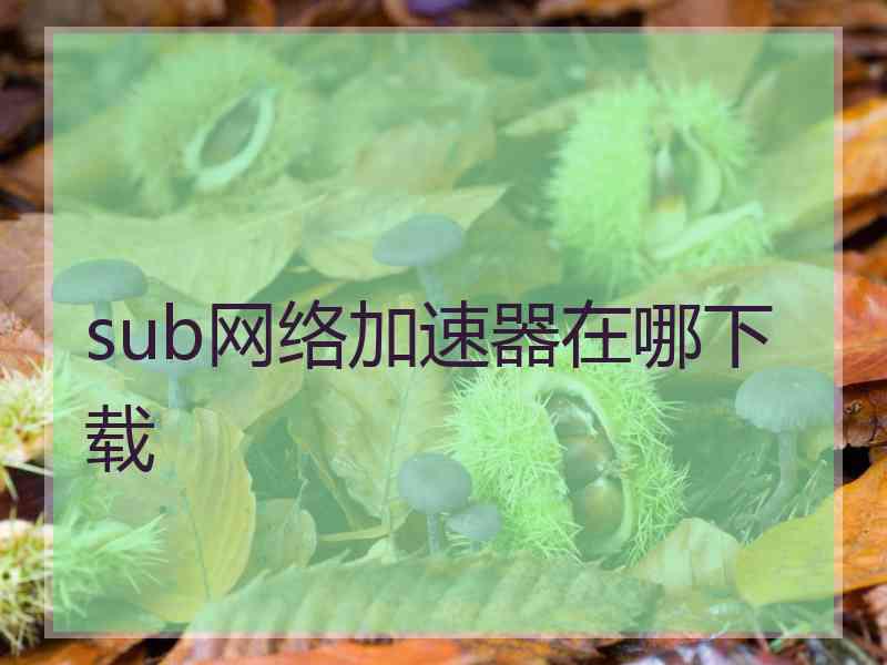 sub网络加速器在哪下载