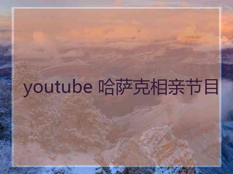 youtube 哈萨克相亲节目