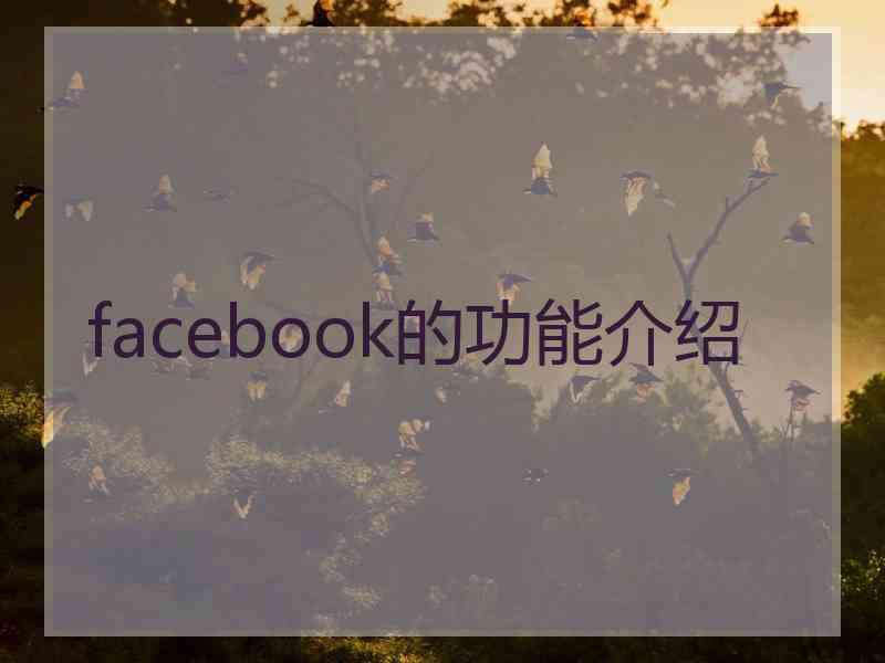 facebook的功能介绍