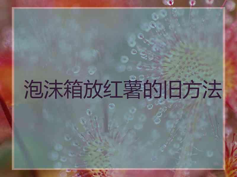 泡沫箱放红薯的旧方法