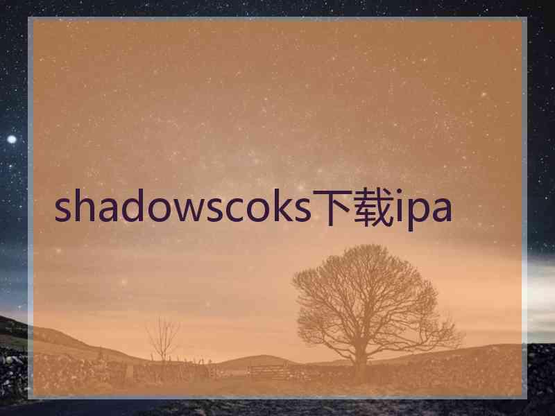 shadowscoks下载ipa