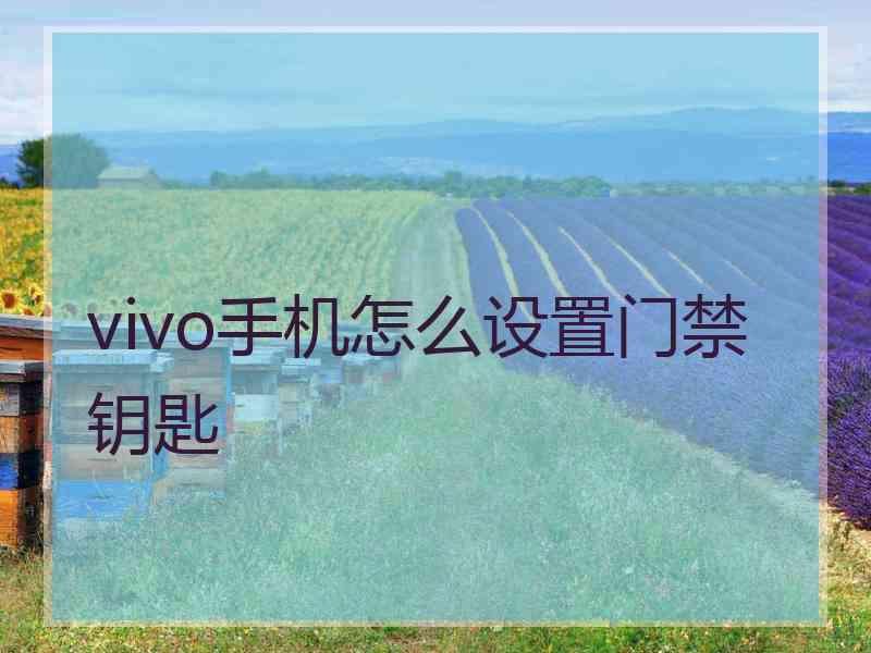 vivo手机怎么设置门禁钥匙