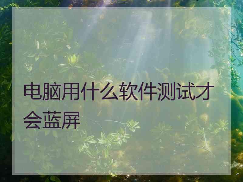 电脑用什么软件测试才会蓝屏