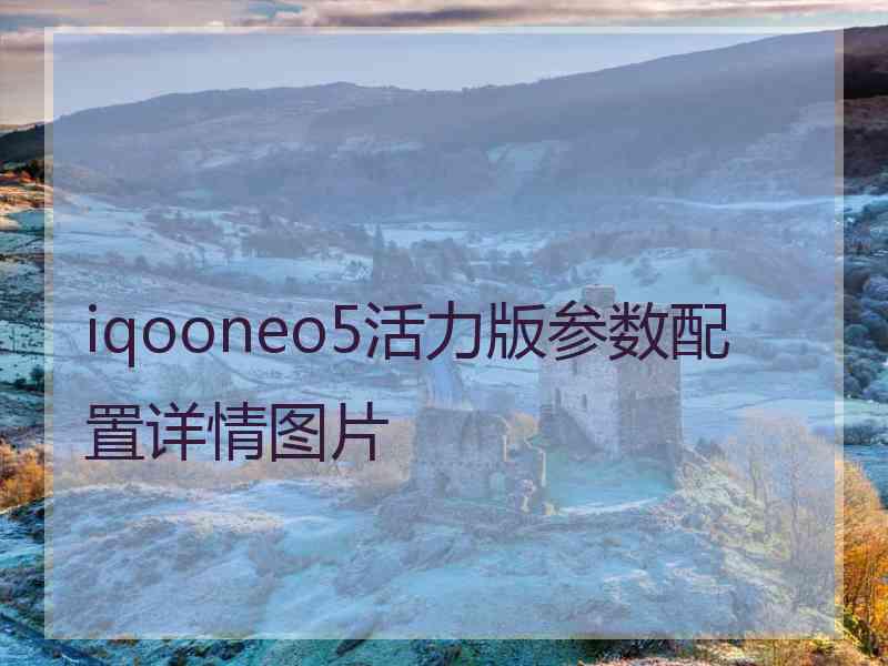 iqooneo5活力版参数配置详情图片