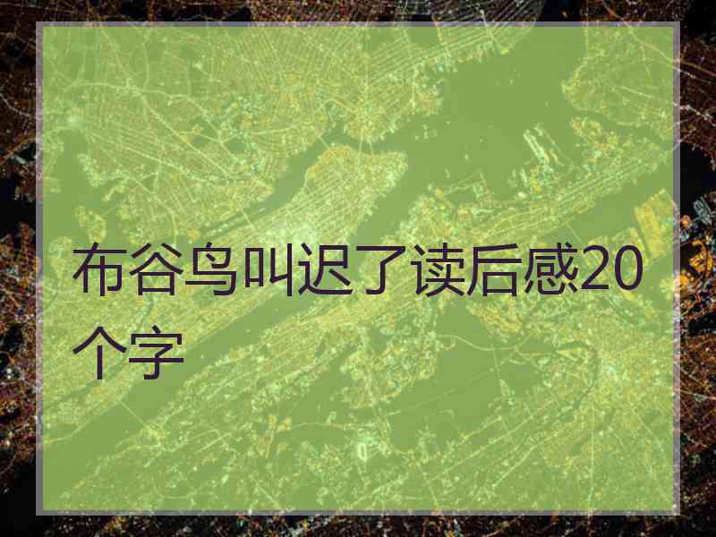 布谷鸟叫迟了读后感20个字