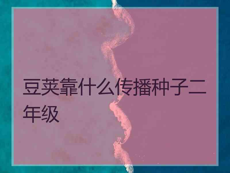 豆荚靠什么传播种子二年级