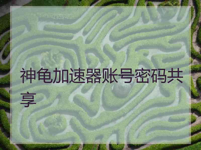 神龟加速器账号密码共享