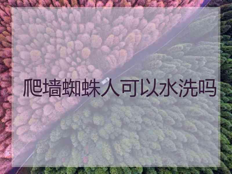 爬墙蜘蛛人可以水洗吗