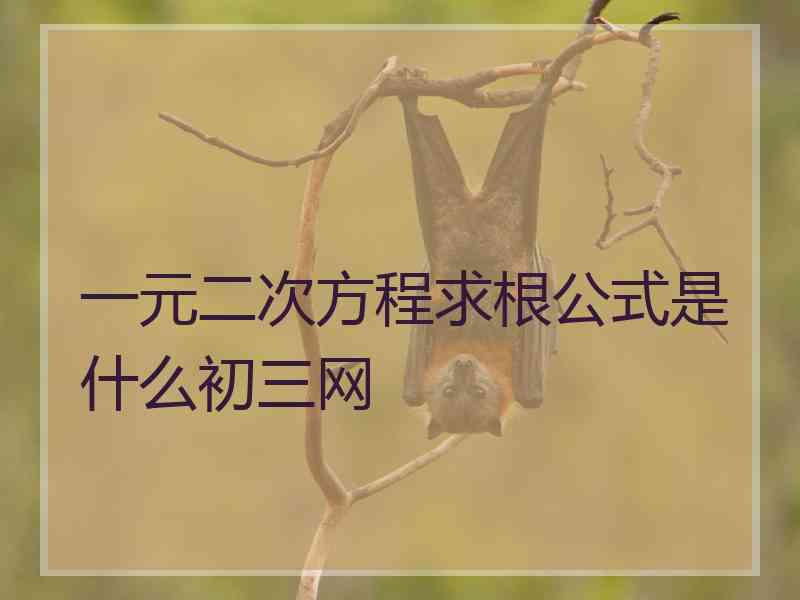 一元二次方程求根公式是什么初三网