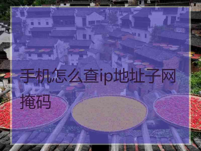 手机怎么查ip地址子网掩码