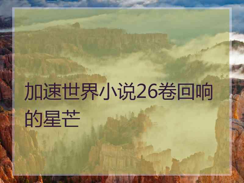 加速世界小说26卷回响的星芒