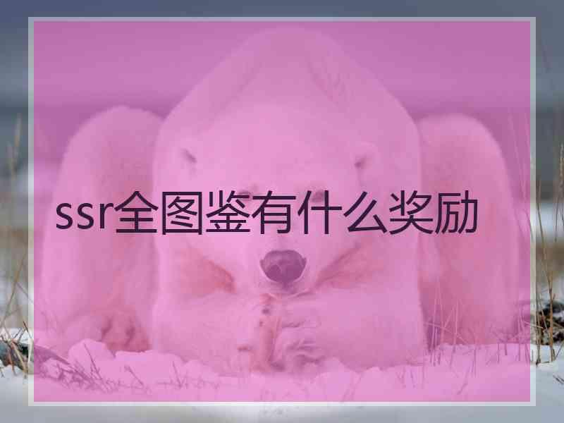 ssr全图鉴有什么奖励