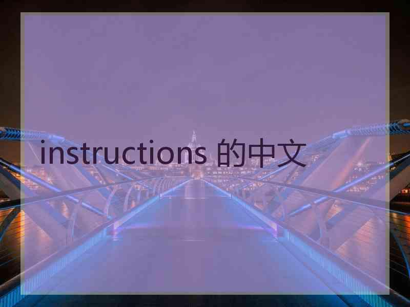 instructions 的中文