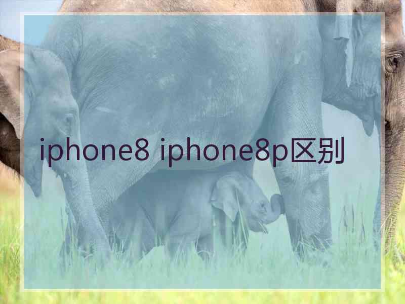 iphone8 iphone8p区别