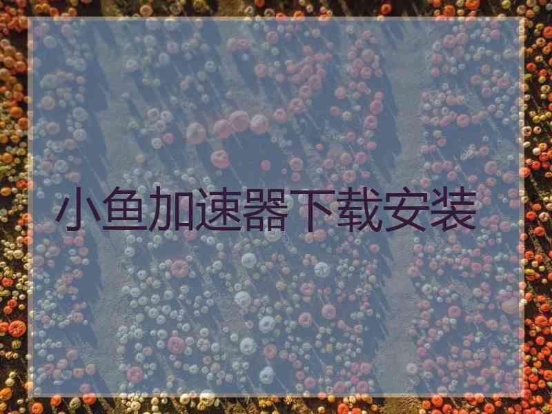 小鱼加速器下载安装