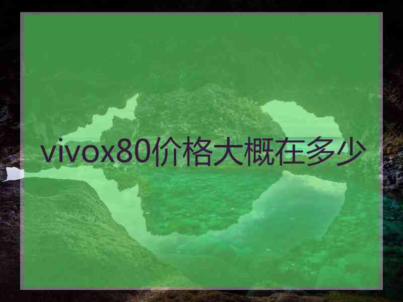 vivox80价格大概在多少