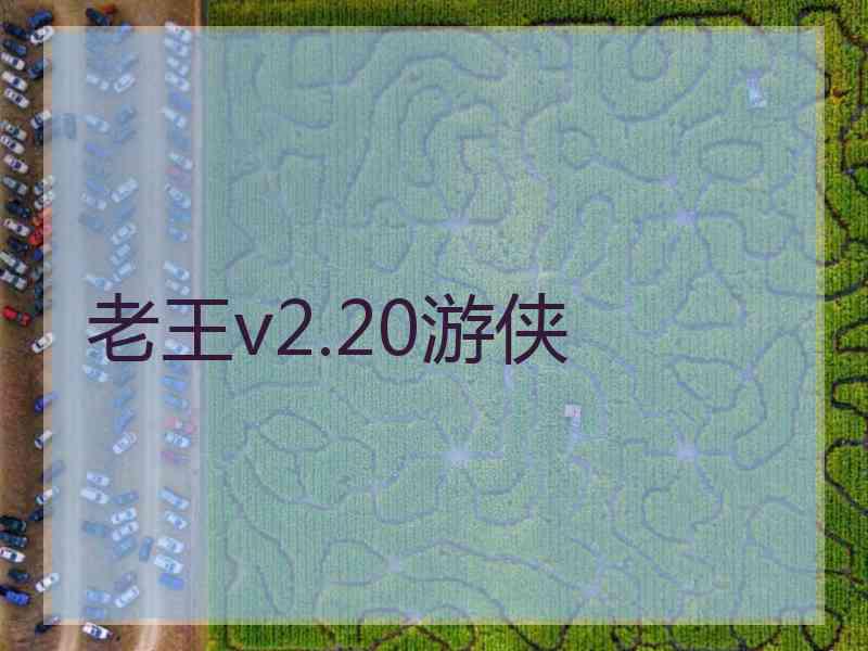 老王v2.20游侠