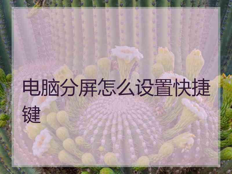 电脑分屏怎么设置快捷键