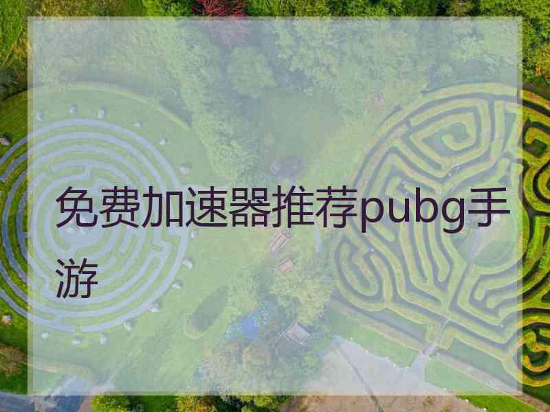 免费加速器推荐pubg手游