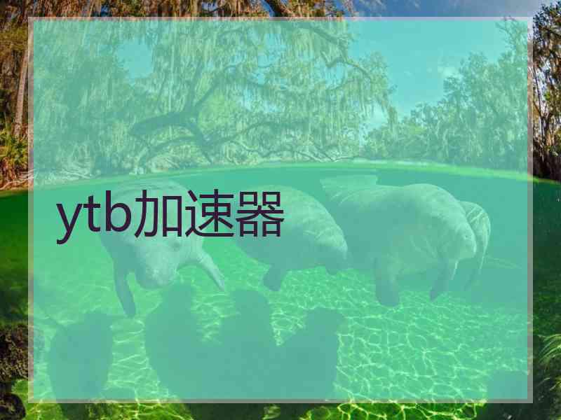 ytb加速器