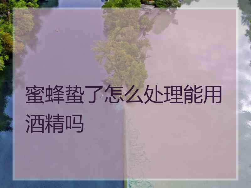 蜜蜂蛰了怎么处理能用酒精吗