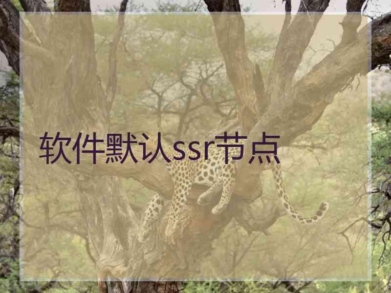 软件默认ssr节点