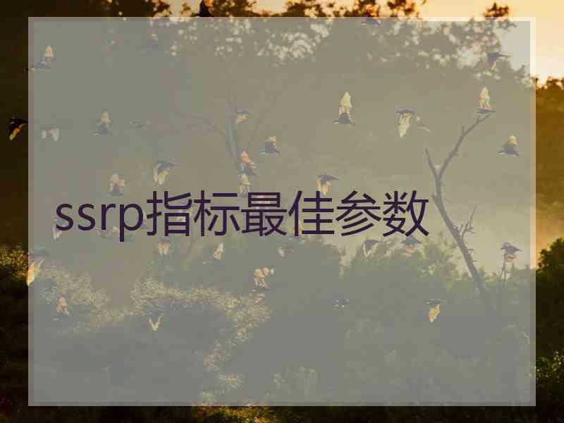 ssrp指标最佳参数