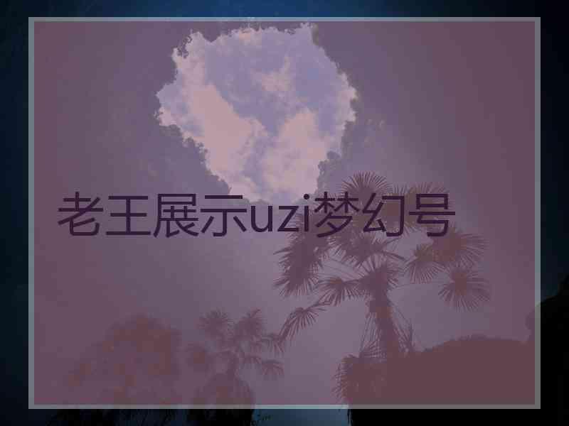 老王展示uzi梦幻号