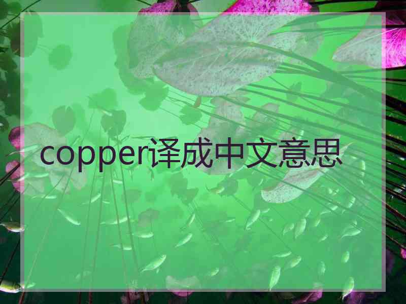 copper译成中文意思