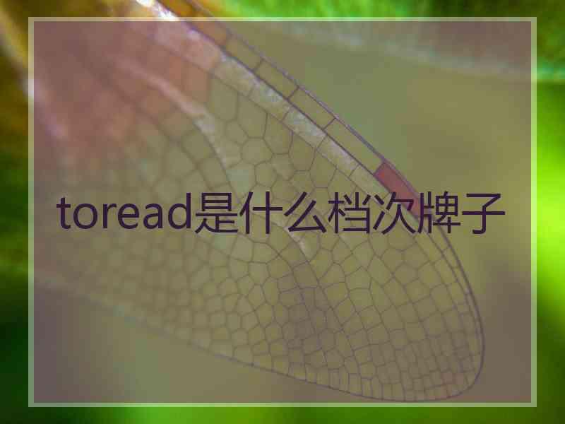 toread是什么档次牌子