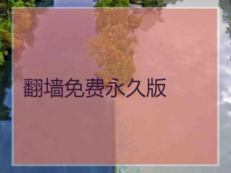 翻墙免费永久版