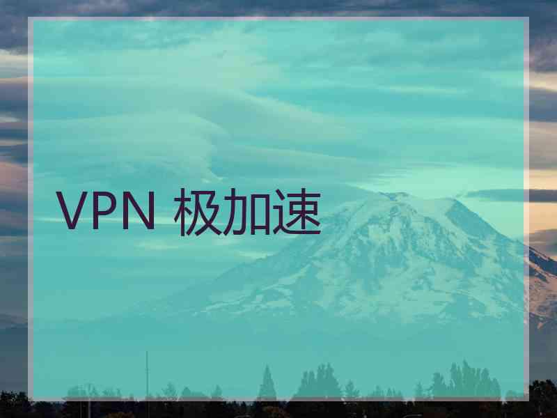 VPN 极加速