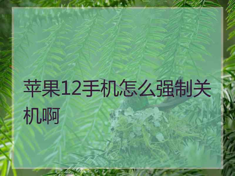 苹果12手机怎么强制关机啊