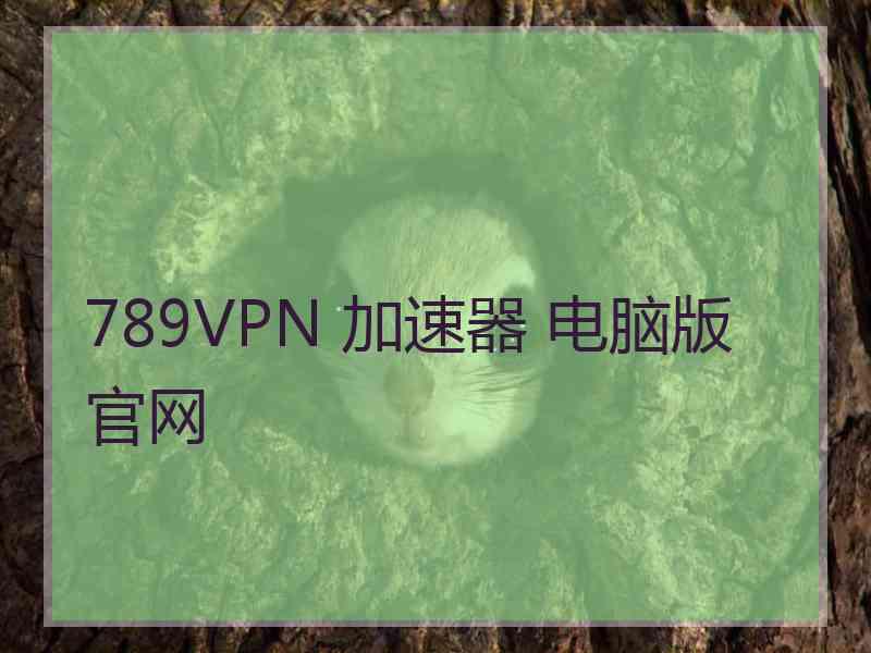 789VPN 加速器 电脑版 官网