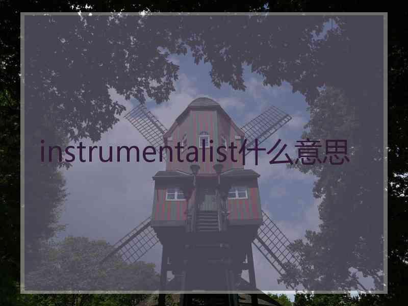 instrumentalist什么意思