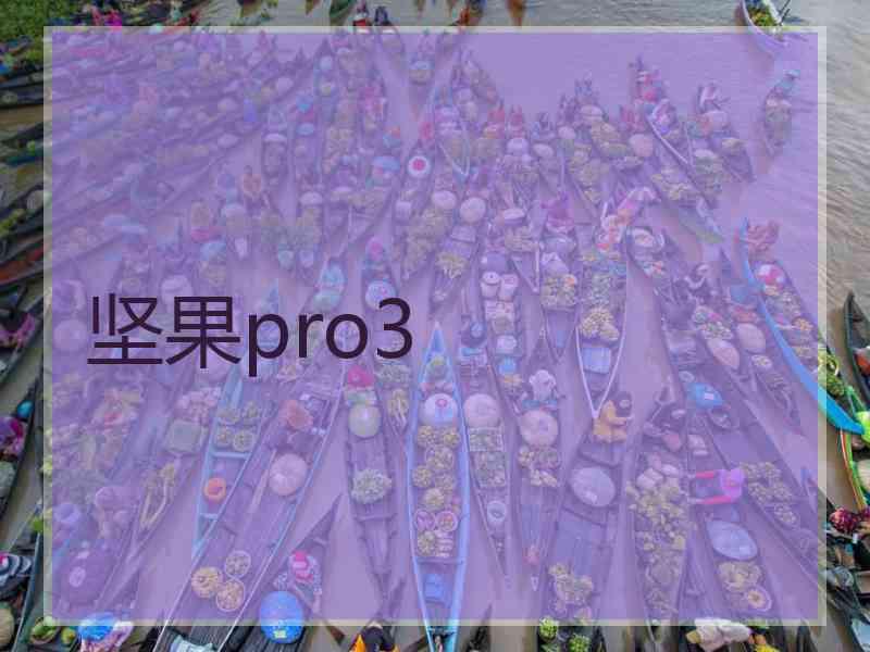 坚果pro3