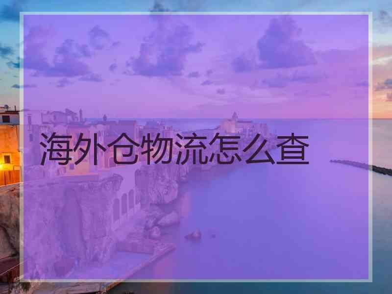 海外仓物流怎么查