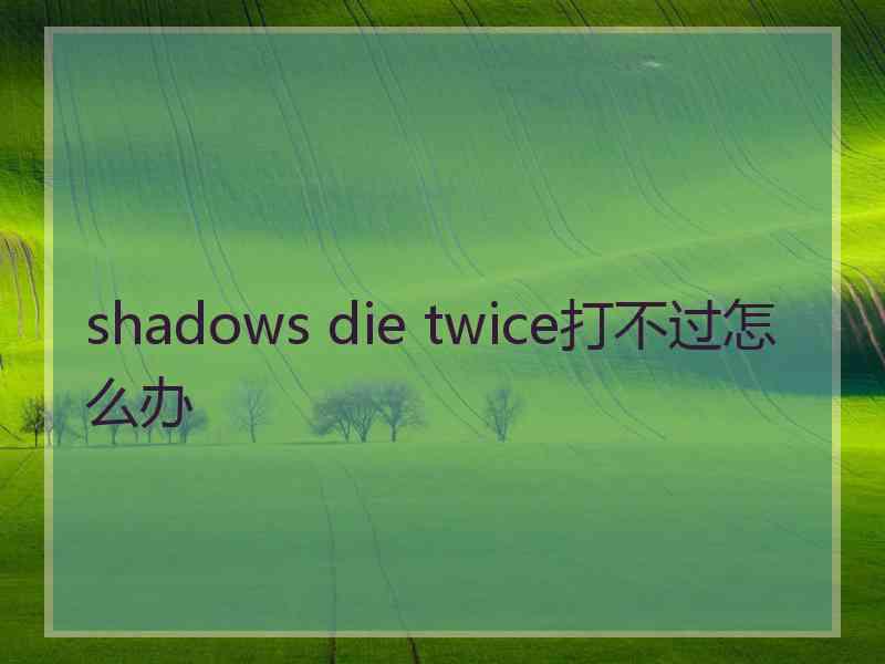 shadows die twice打不过怎么办