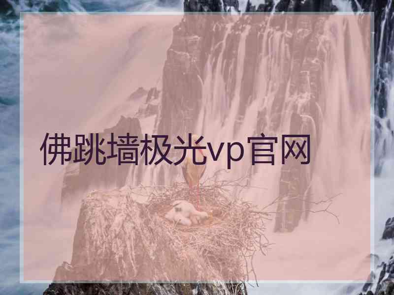 佛跳墙极光vp官网